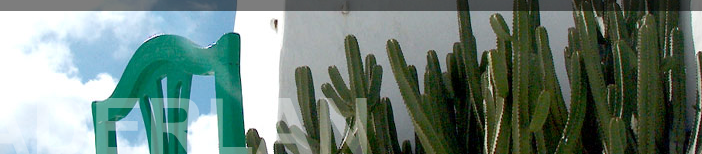 cactus-aderlan