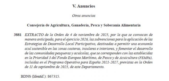 EXTRACTO ORDEN CONVOCATORIA  BOC Nº 228 (17/11/2025)