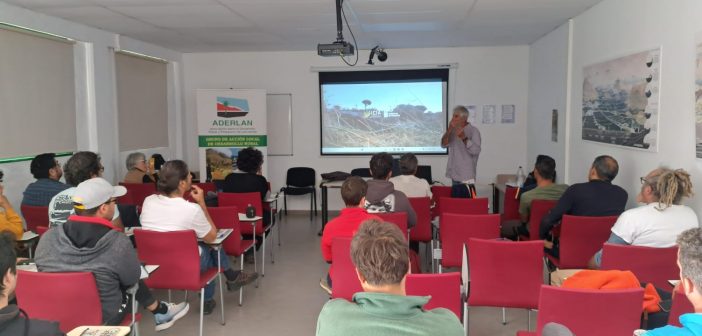 Impulso del vermicompostaje comunitario en la isla.
